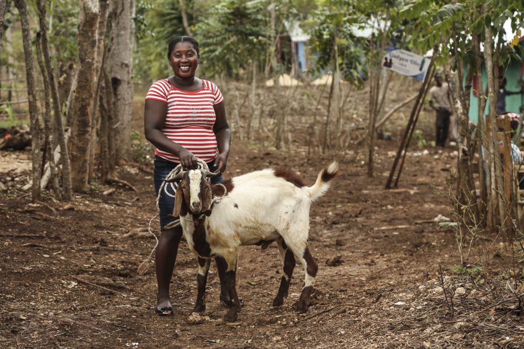 women-s-goat-farming-cooperatives-global-health-action